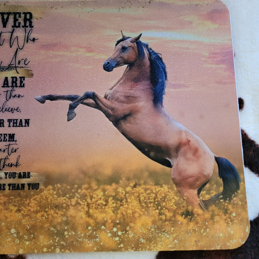Never Forget Who You Are Horse Mouse Pad
