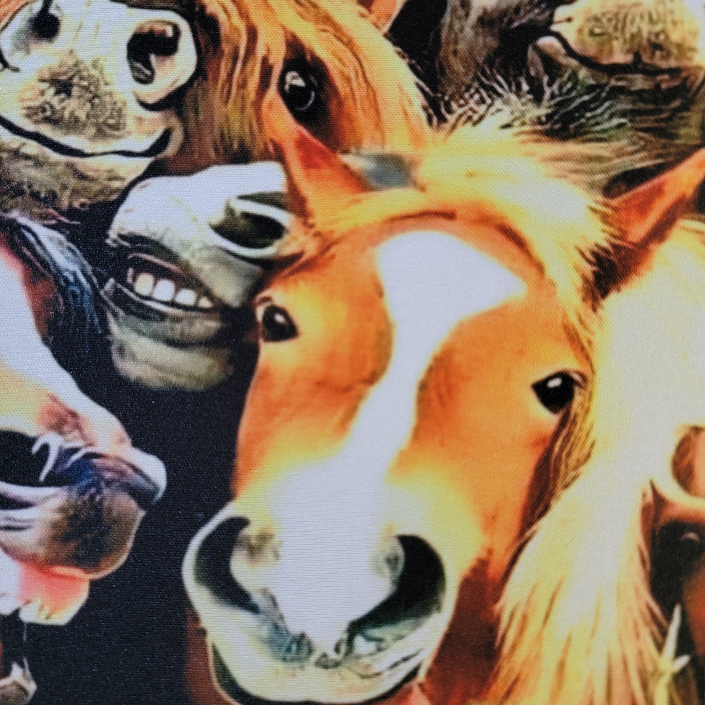 Laughing Horses Computer Mouse Pad