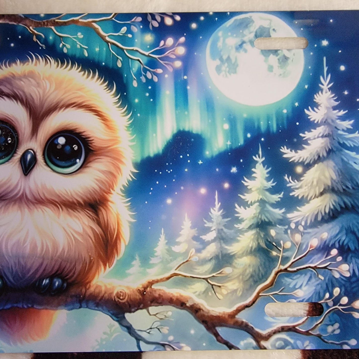 Cartoon Owl Car Tag License Plate