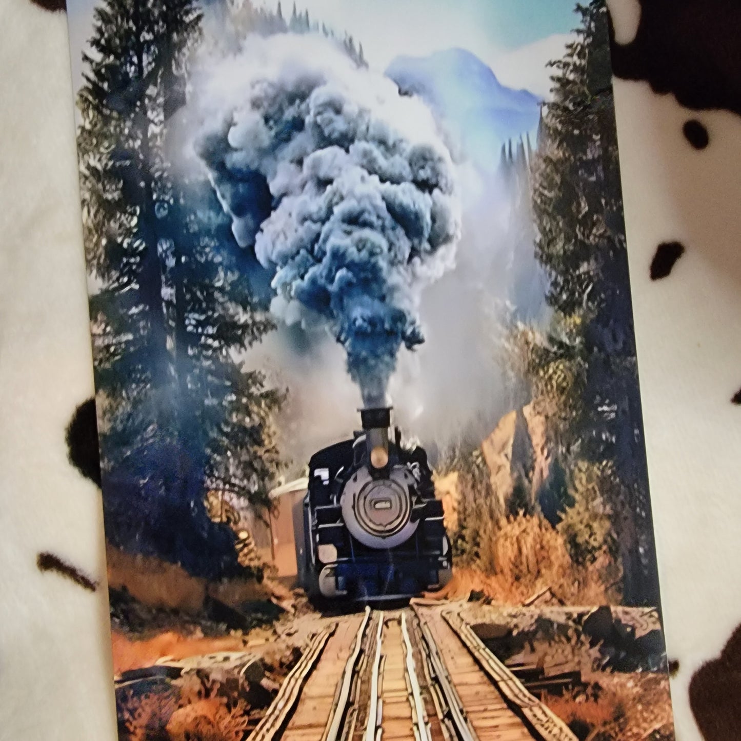 Wilderness Train Metal Sign