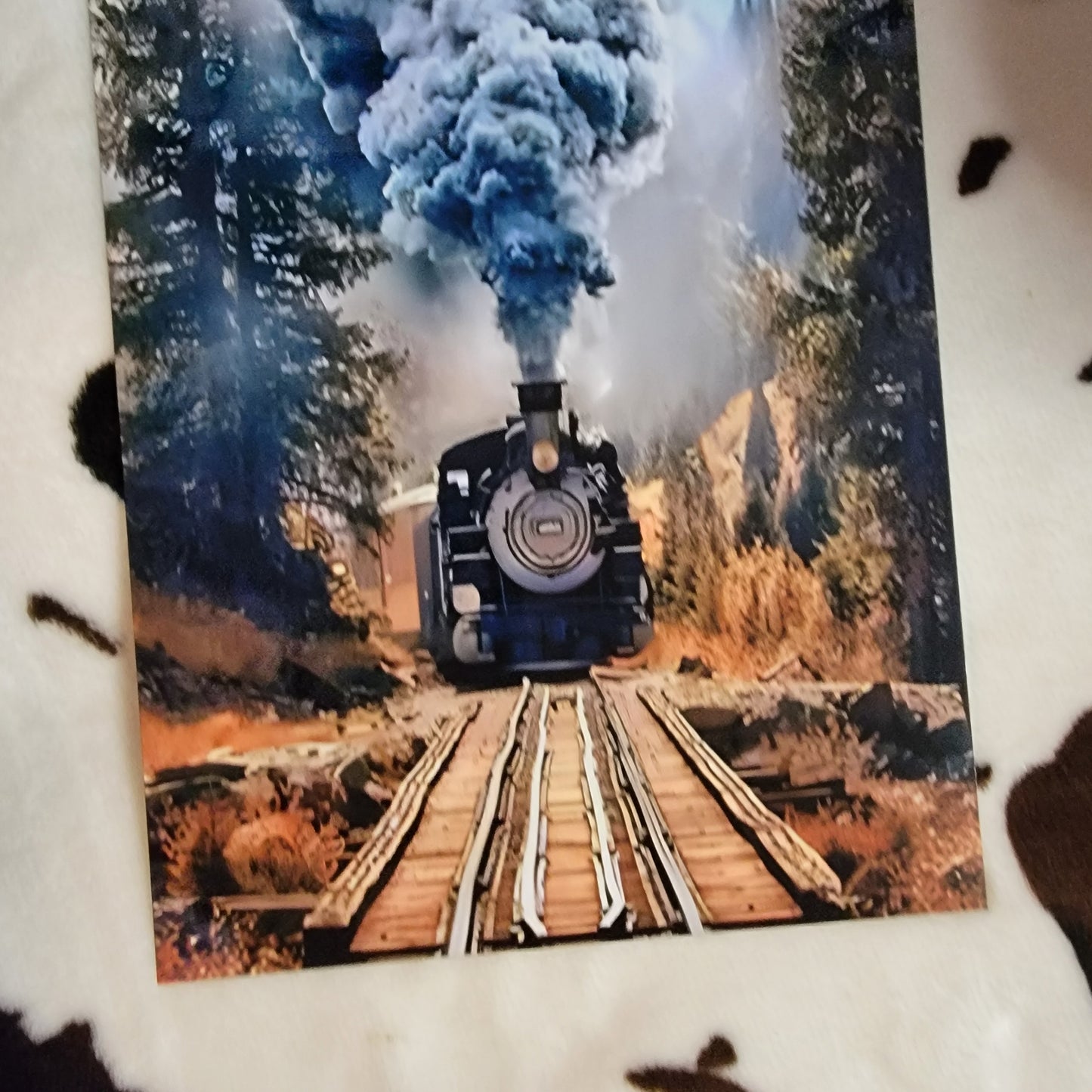 Wilderness Train Metal Sign