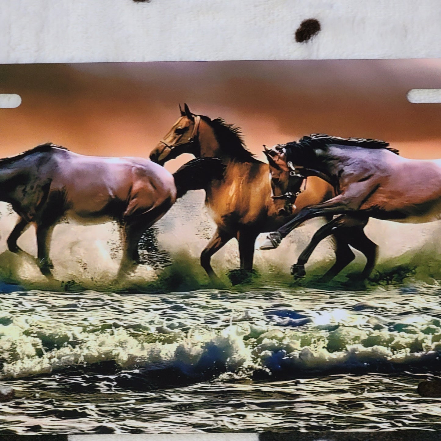 Running Horses Beach Car Tag License Plate