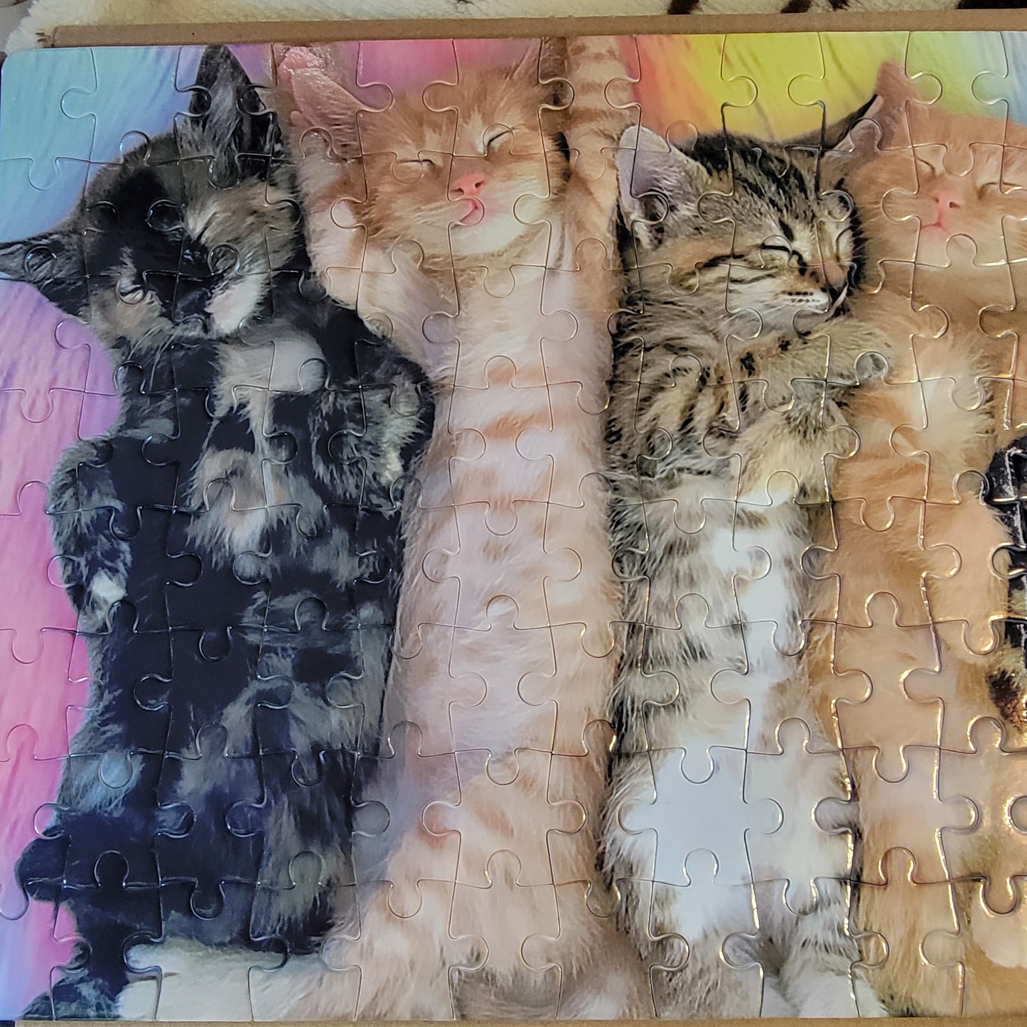 Sleeping Kittens 120 Piece Jigsaw Puzzle