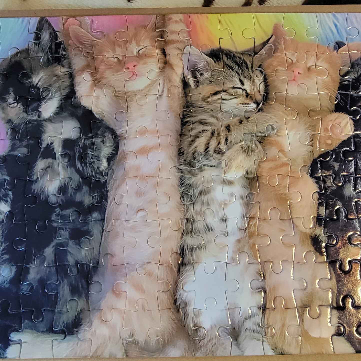 Sleeping Kittens 120 Piece Jigsaw Puzzle