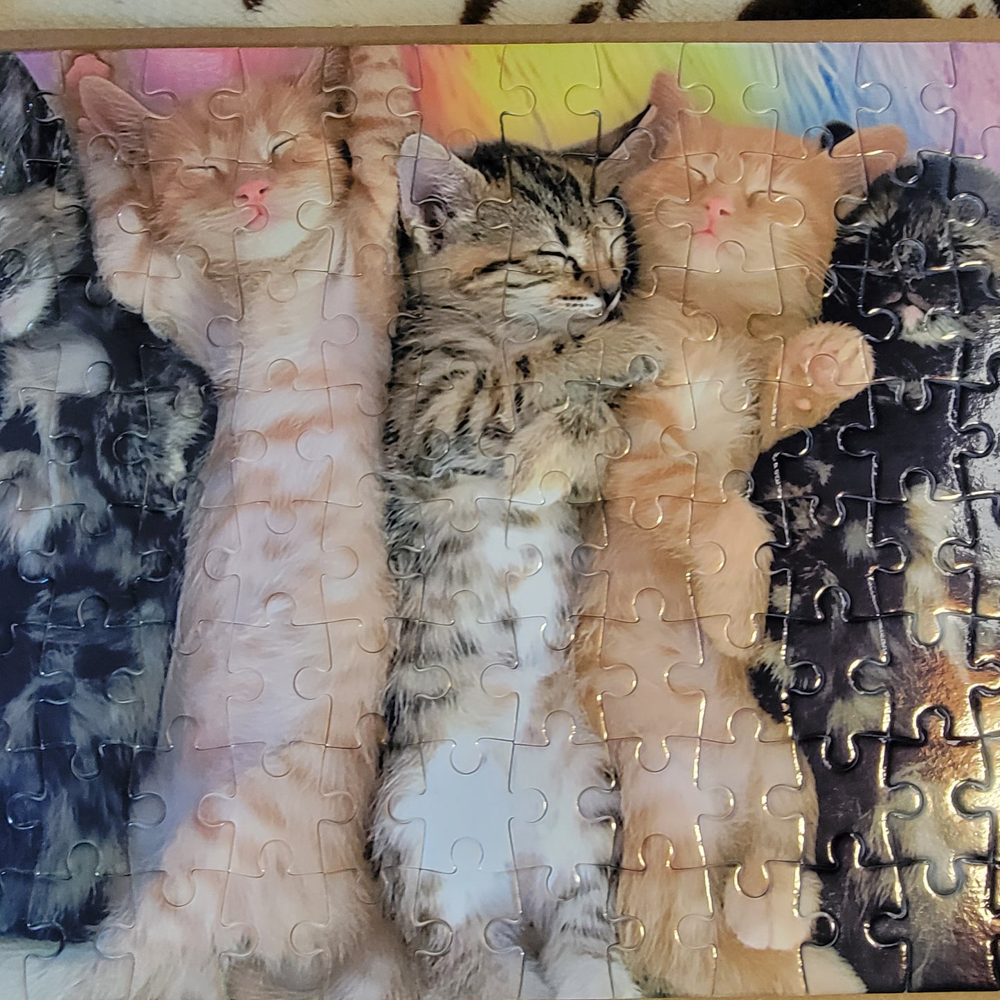 Sleeping Kittens 120 Piece Jigsaw Puzzle