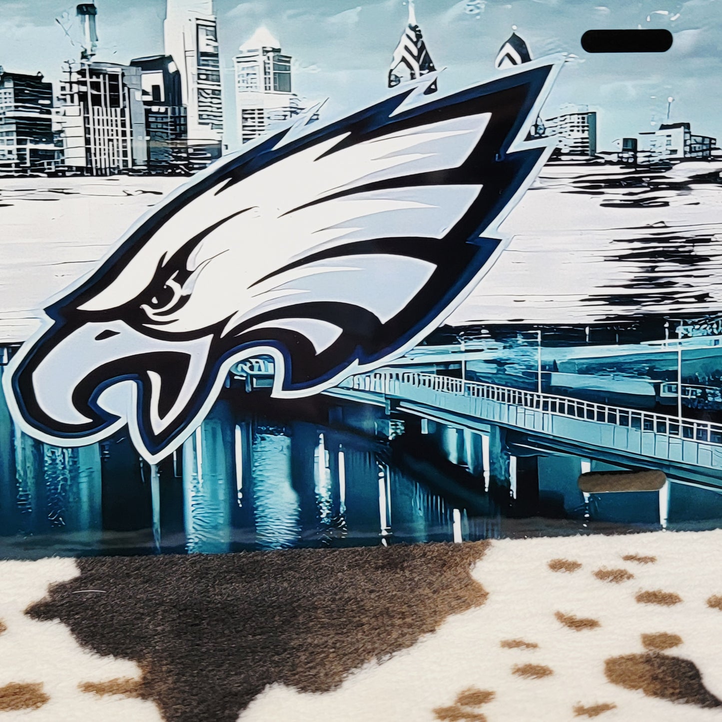 Philadelphia Eagles Football Car Tag License Plate