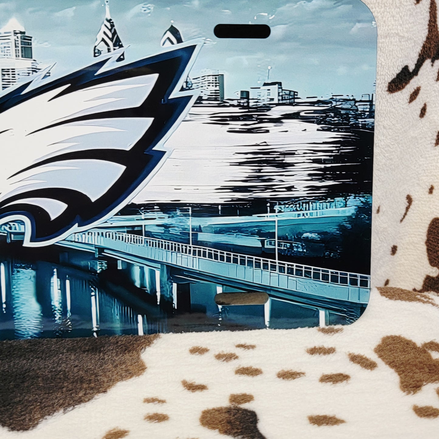 Philadelphia Eagles Football Car Tag License Plate