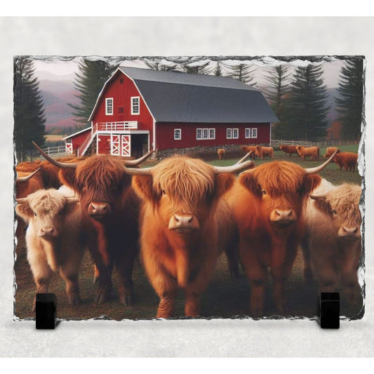 Highland Cow Red Barn Photo Rock Slate