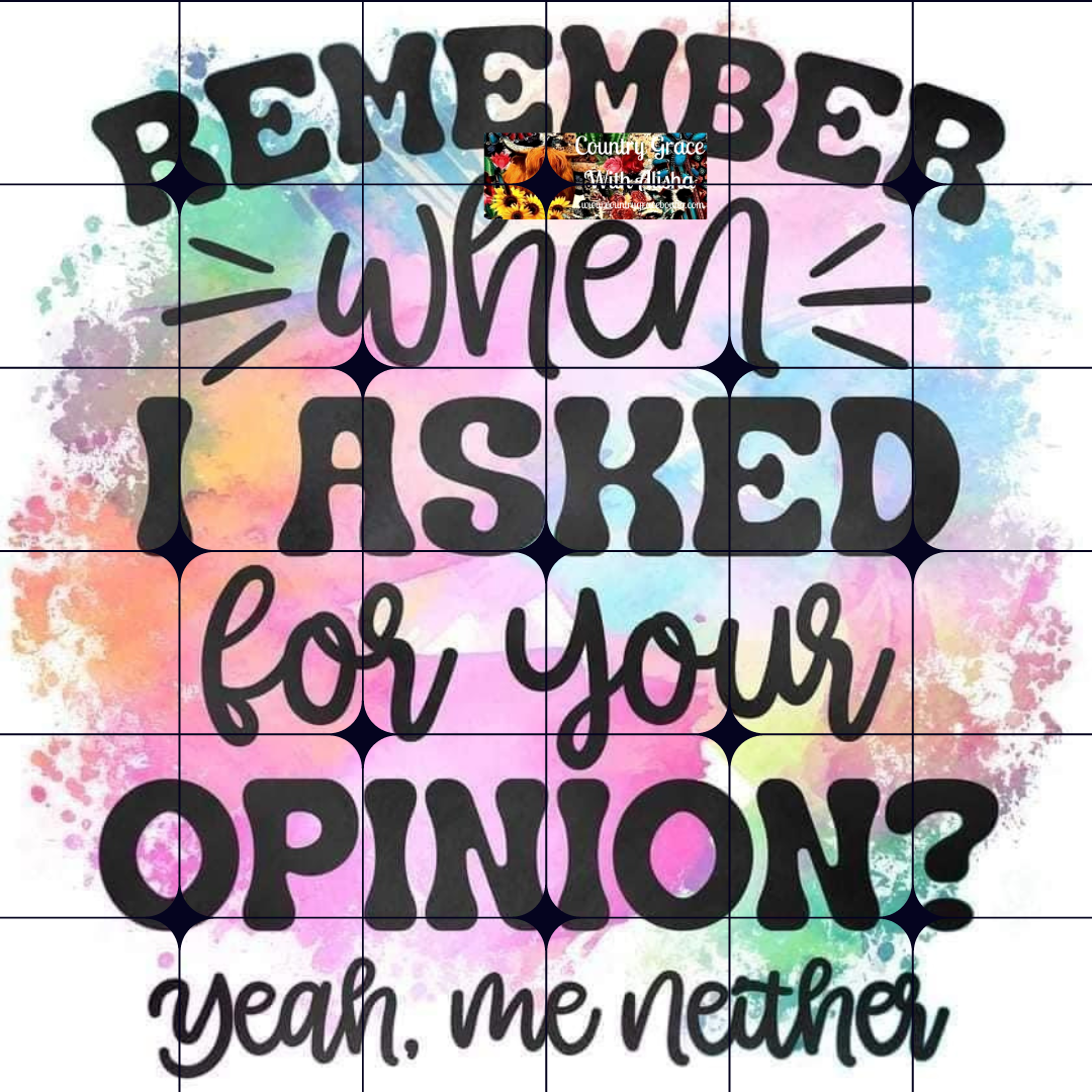 When I Asked For Your Opinion Ready to Press Sublimation Transfer