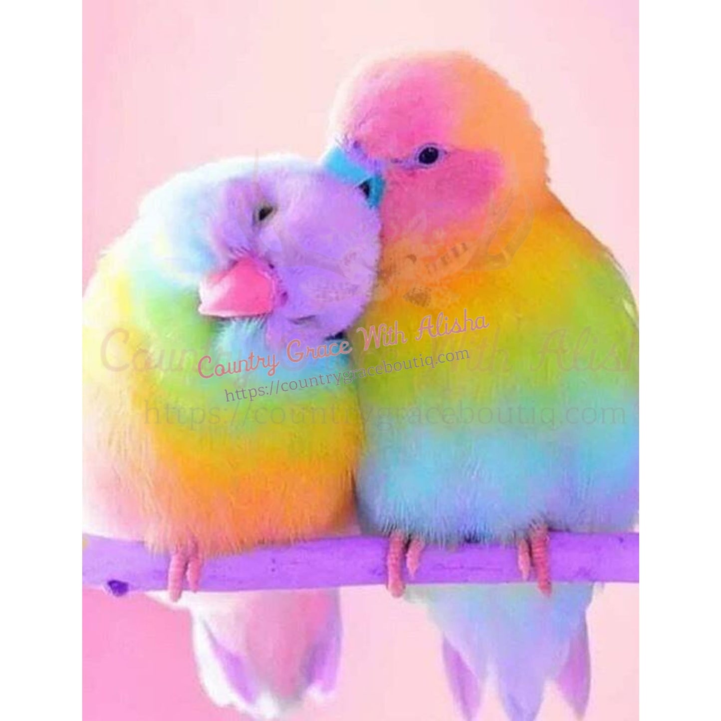 Bird Full Page Sublimation Transfer - Sub $2.50 Country