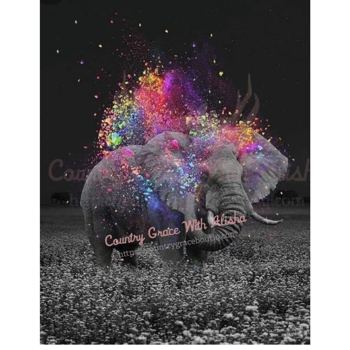 Elephant Full Page Sublimation Transfer - Sub $2.50 Country