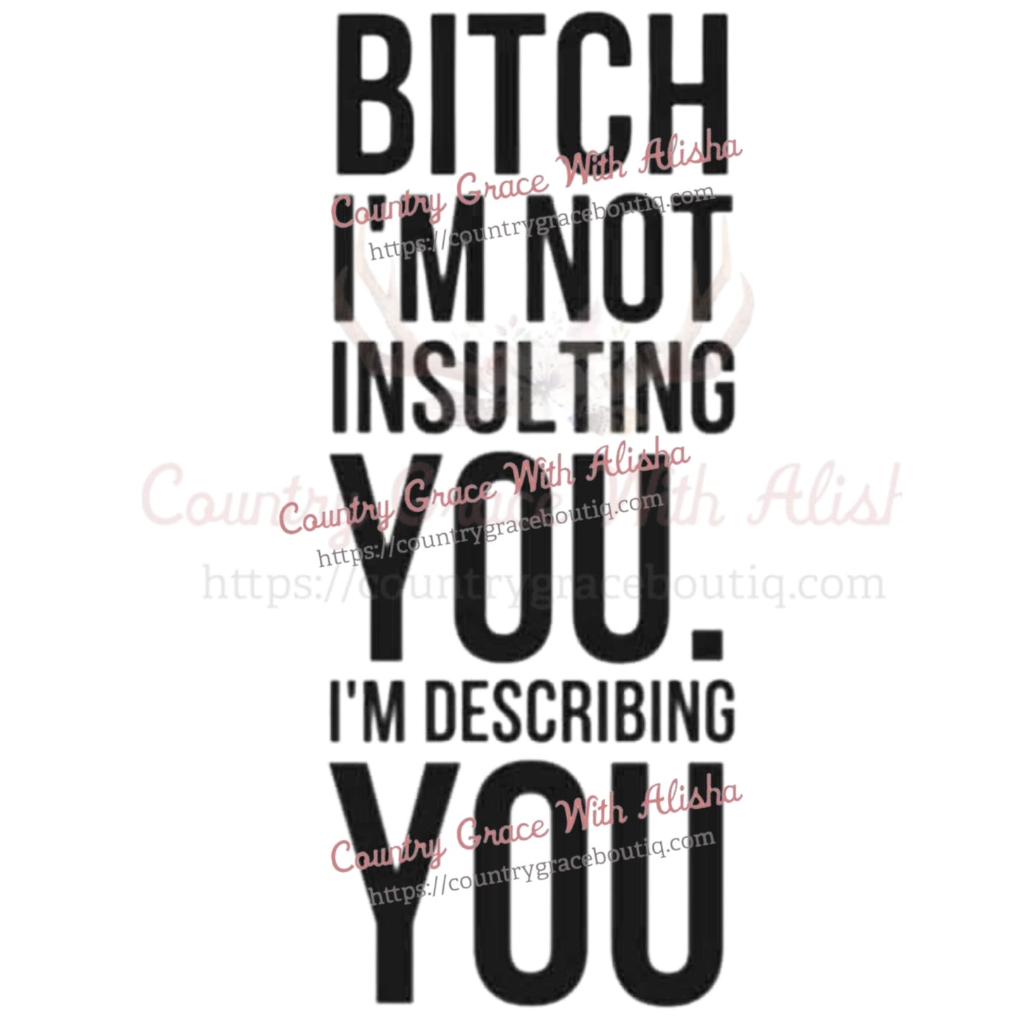 Im Not Insulting You Sublimation Transfer - Sub $1.50