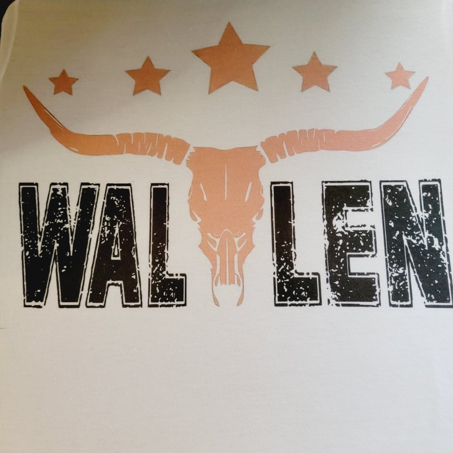 Morgan Wallen Bull Skull Graphic Tee Shirt