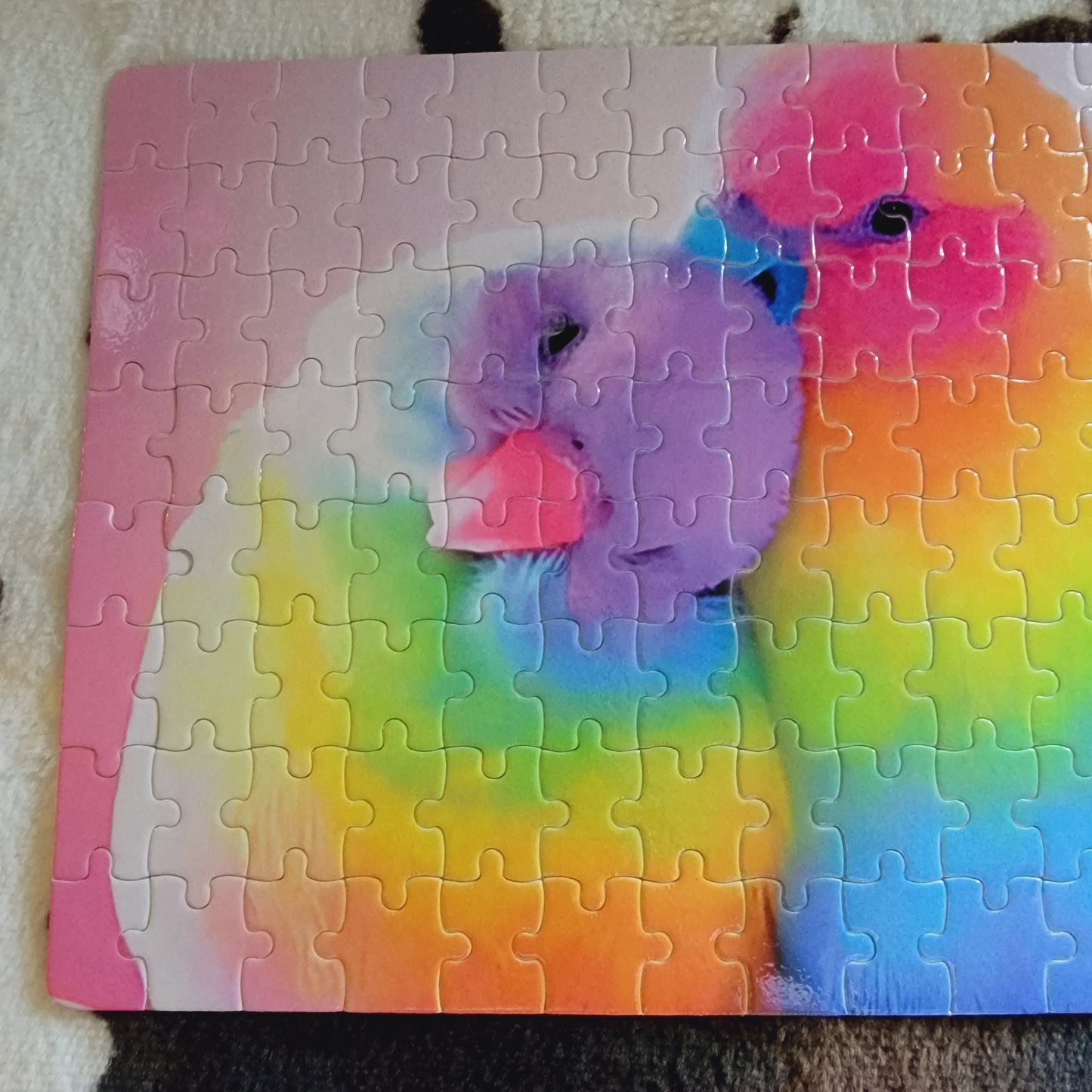 Rainbow Bird 120 Piece Jigsaw Puzzle