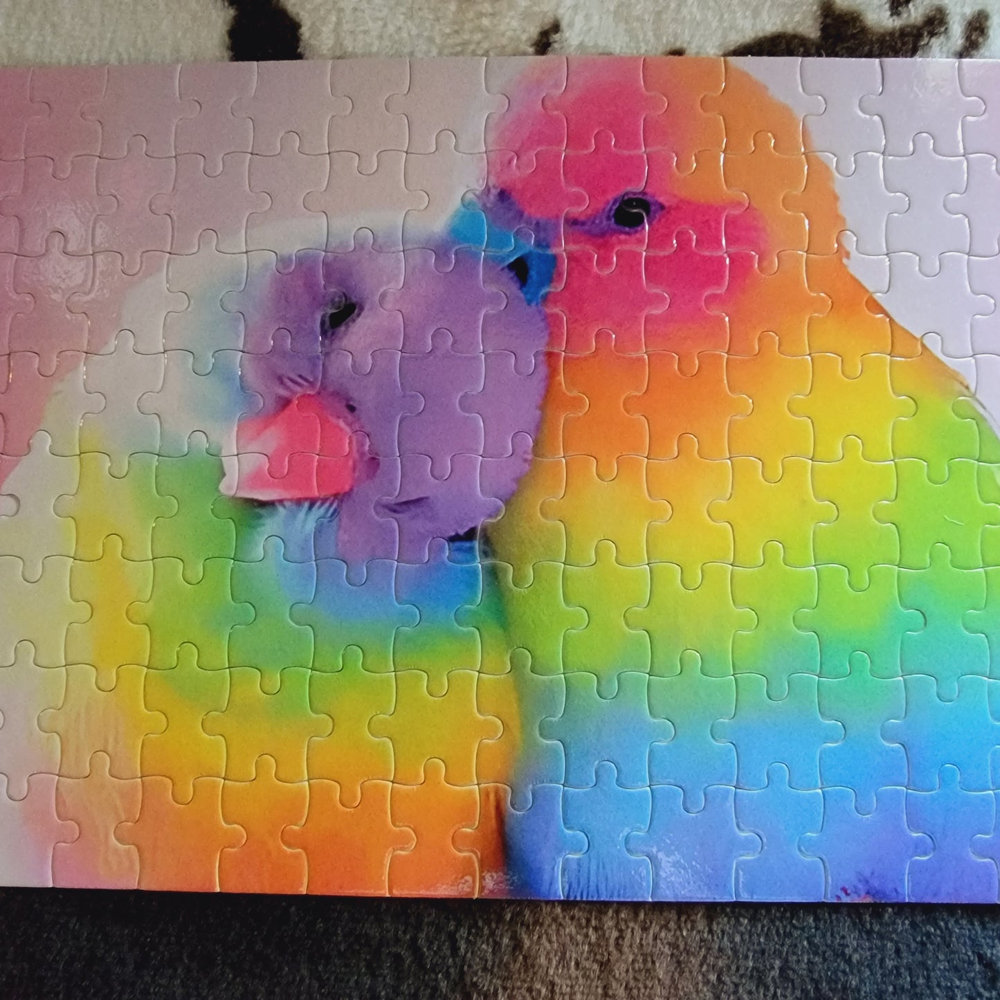 Rainbow Bird 120 Piece Jigsaw Puzzle