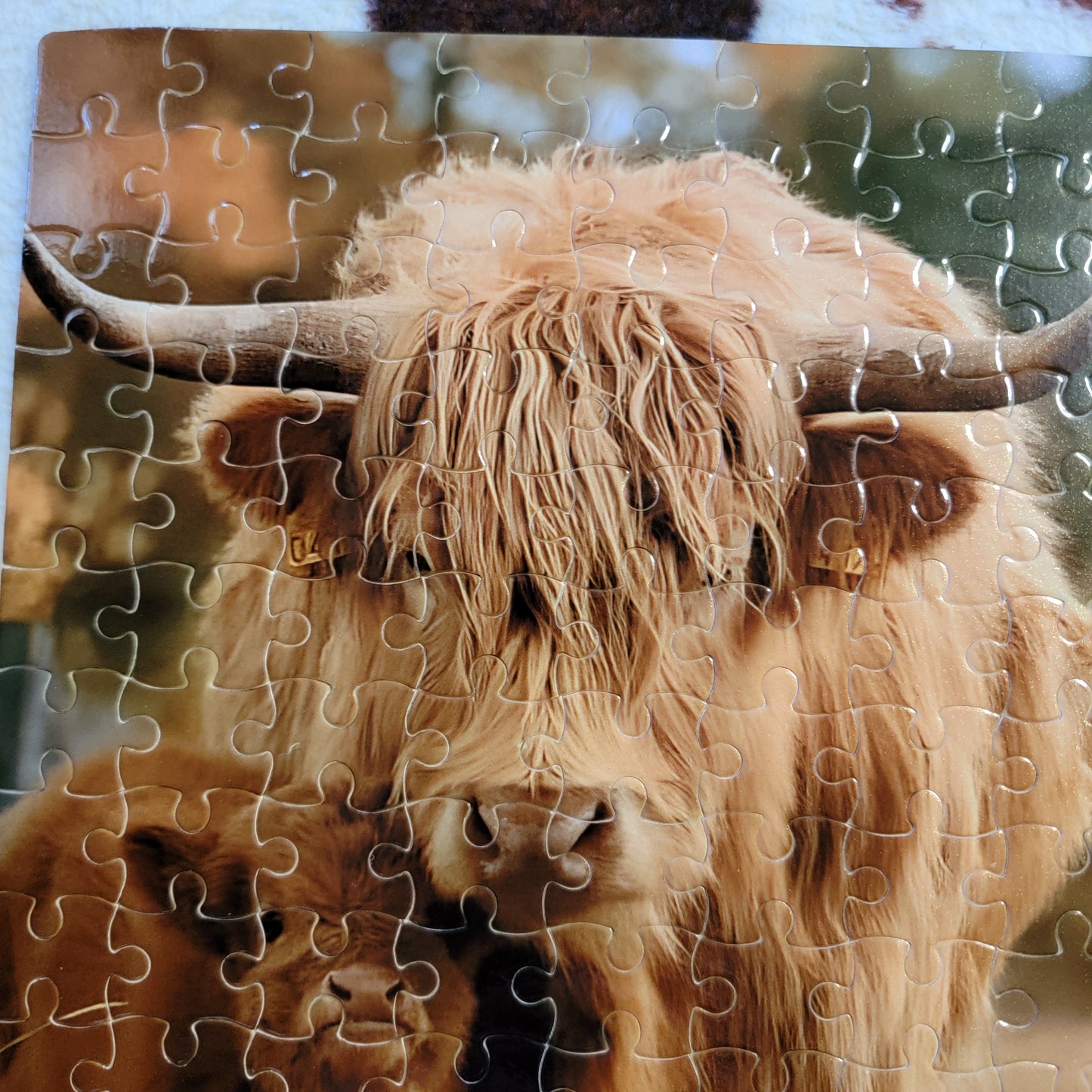 Highland Cow Mama and Baby 120 PC Handmade Jigsaw Puzzle