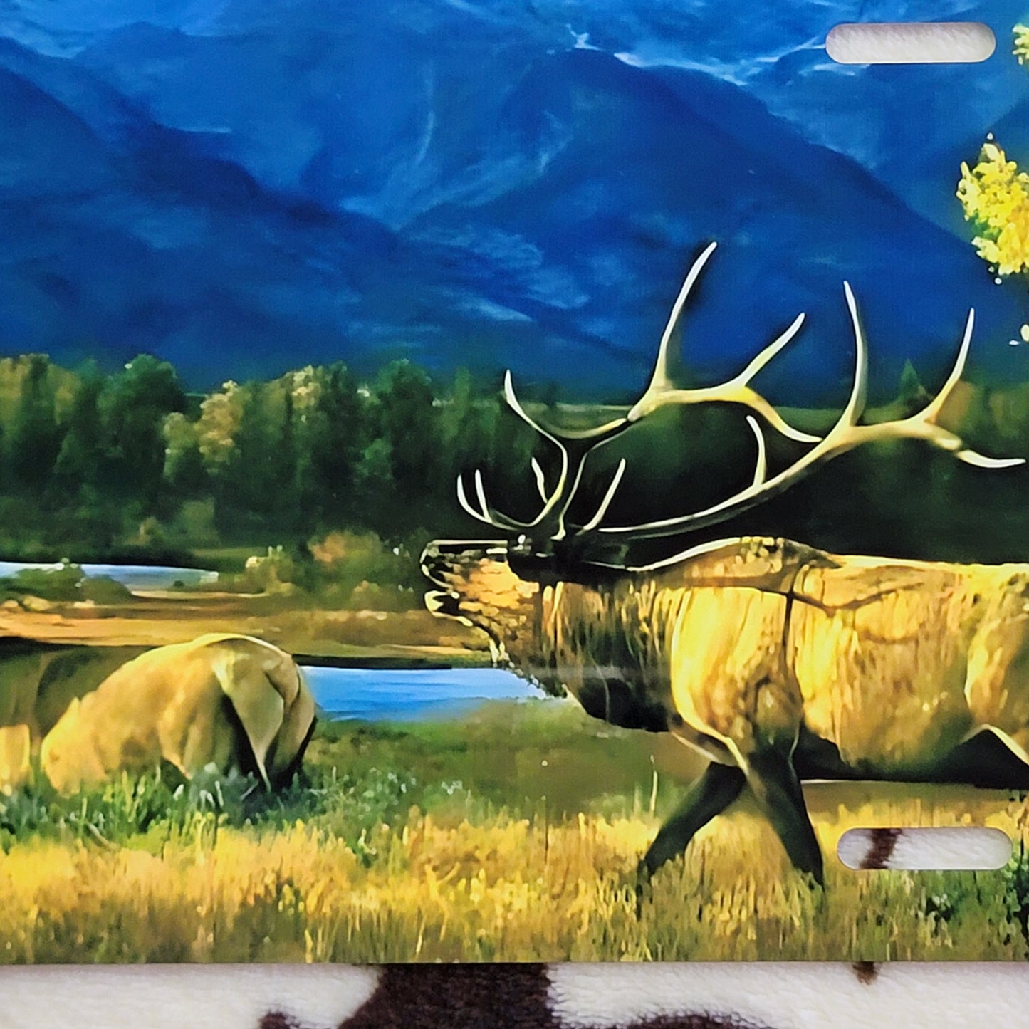 Wildlife Landscape Custom Handmade Car Tag License Plate