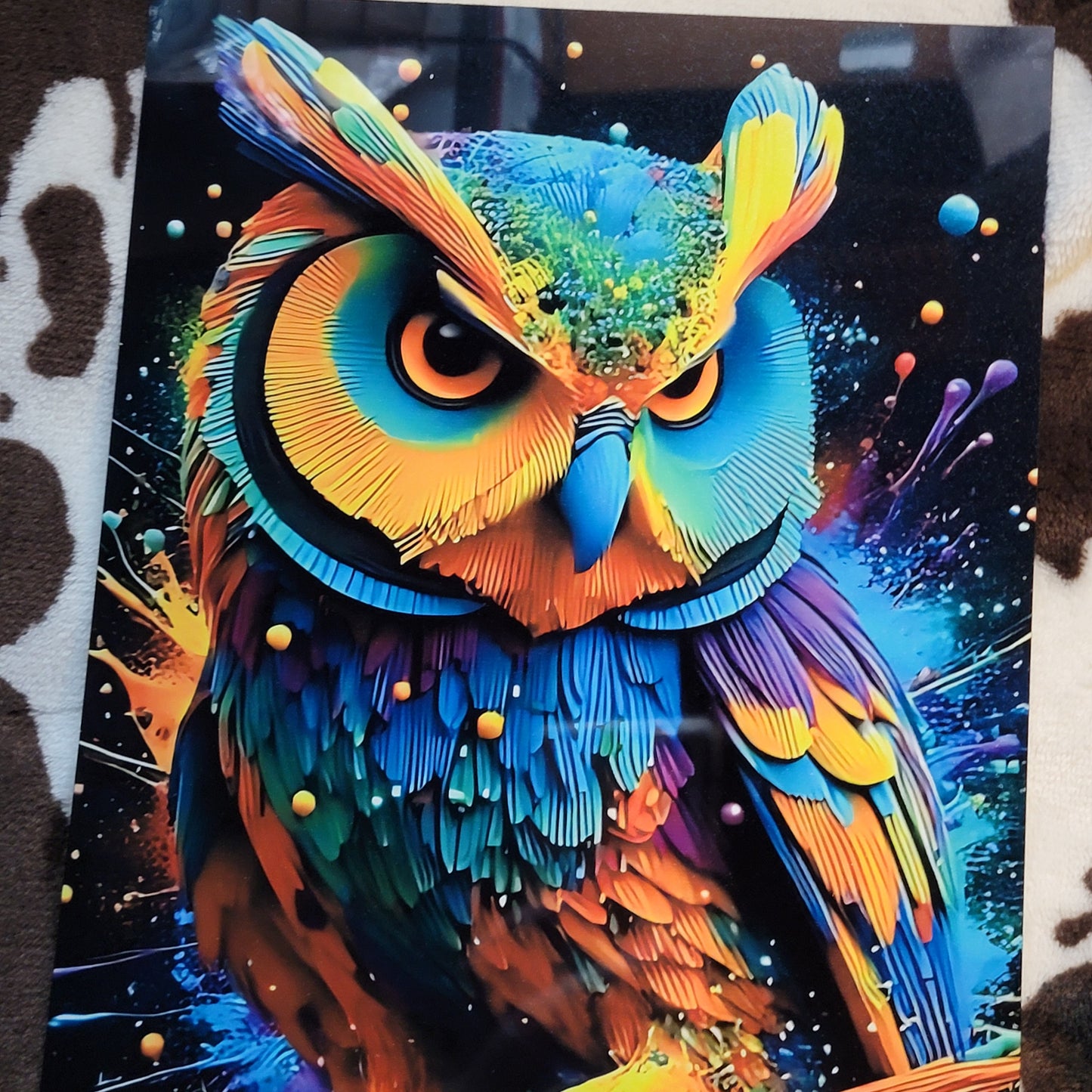 Colorful Owl Bird Metal Sign
