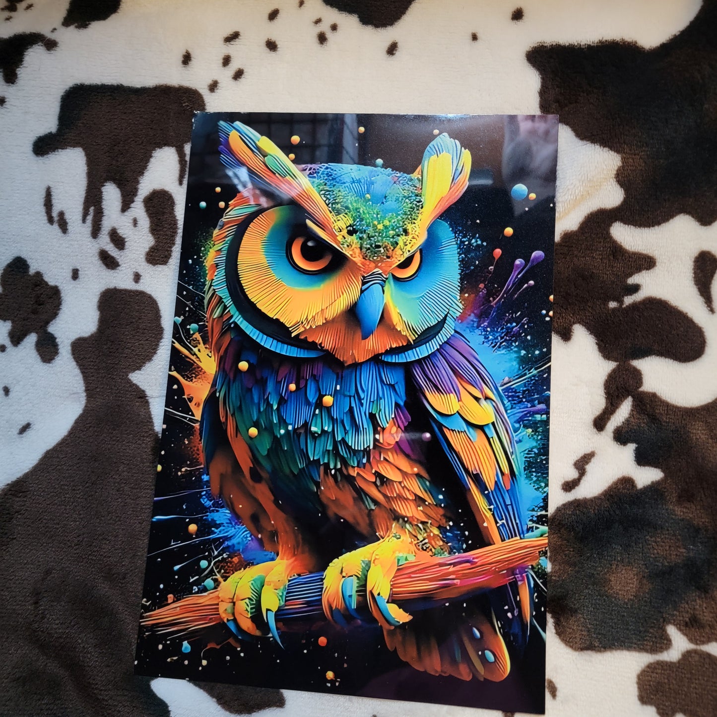 Colorful Owl Bird Metal Sign