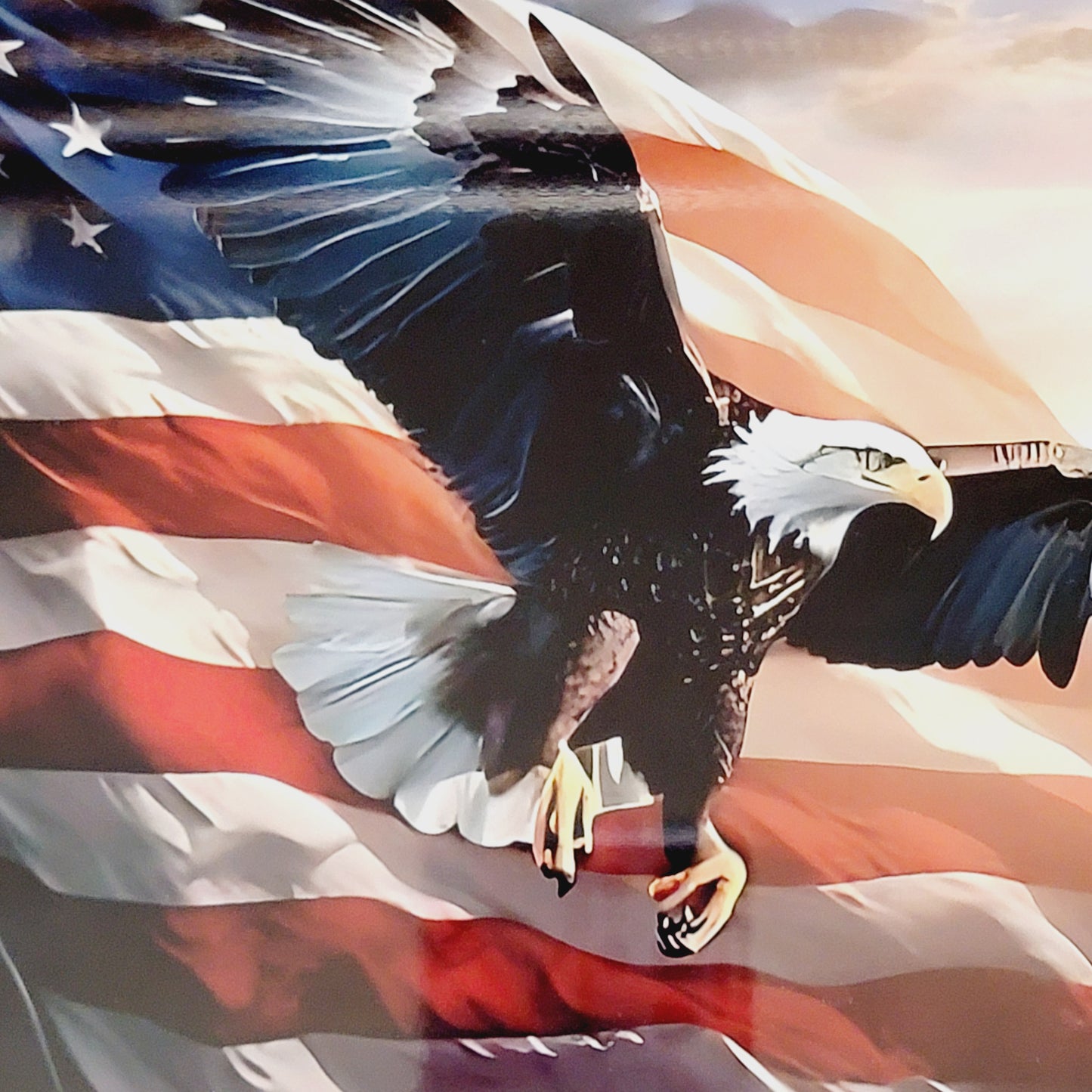 Flying Eagle American Flag Metal Sign