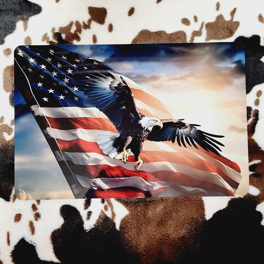 Flying Eagle American Flag Metal Sign
