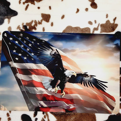 Flying Eagle American Flag Metal Sign