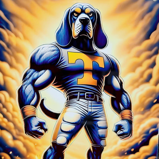 Tennessee Vols Football Sports Metal Sign