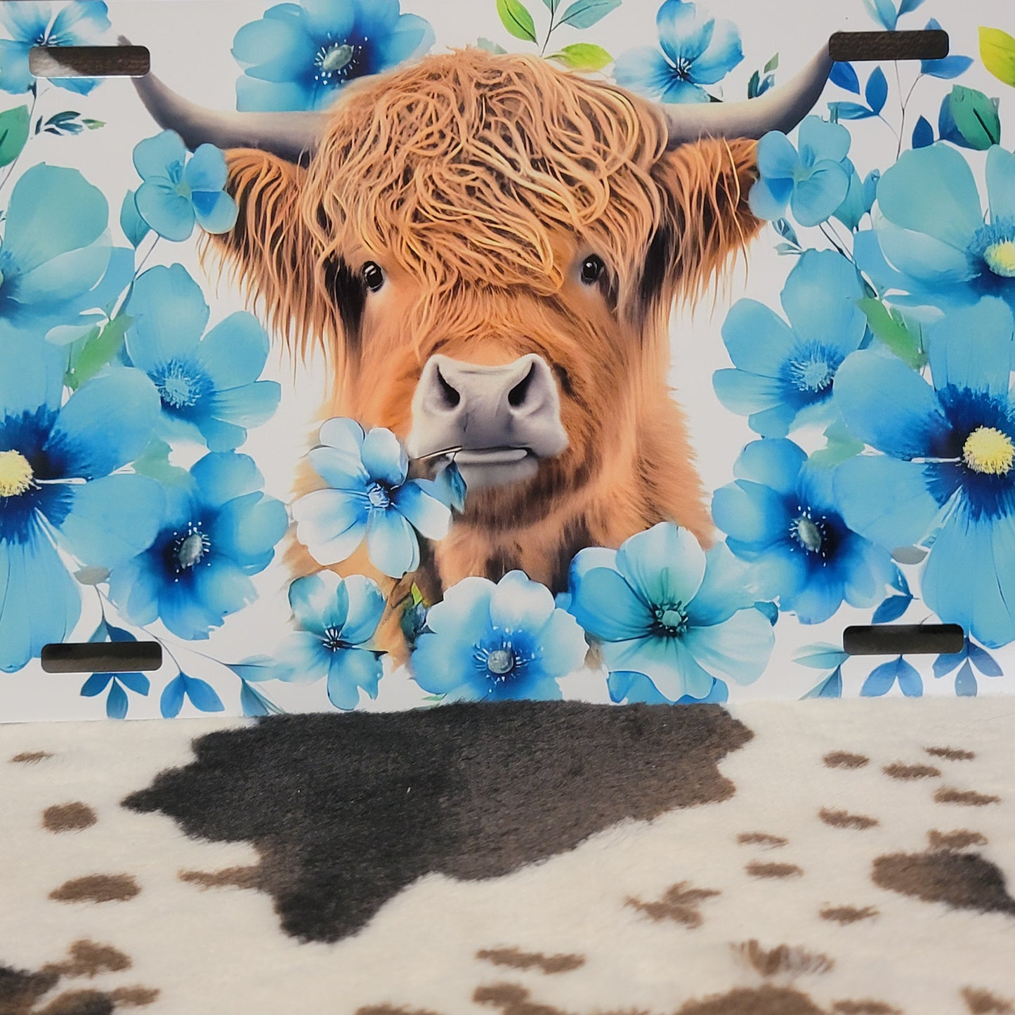 Highland Cow Blue Floral Car Tag License Plate