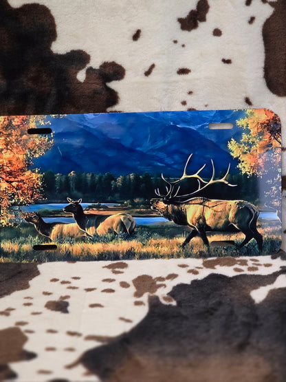 Wildlife Landscape Custom Handmade Car Tag License Plate