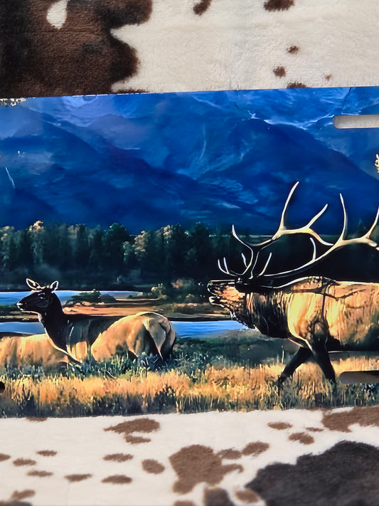 Wildlife Landscape Custom Handmade Car Tag License Plate