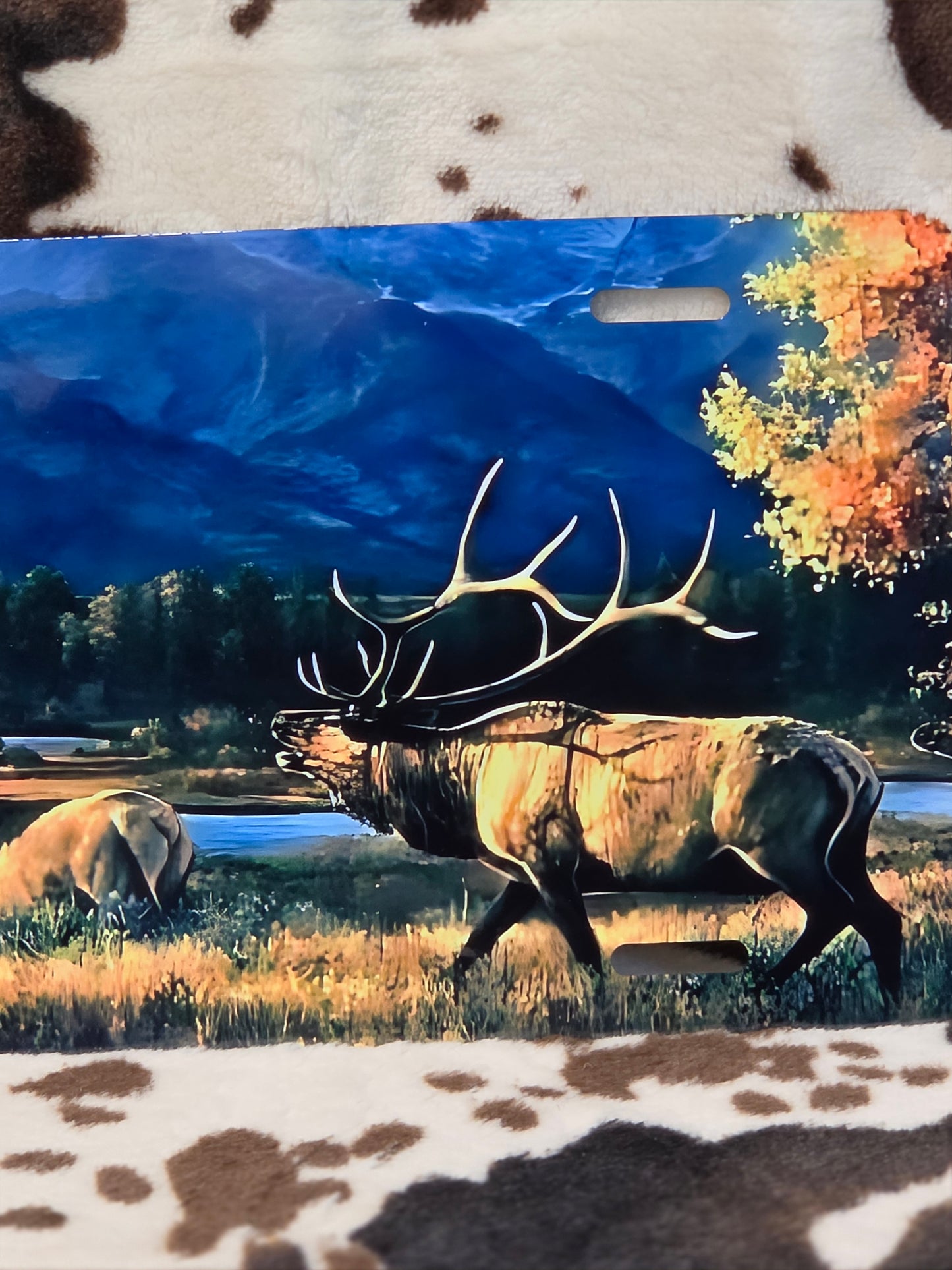 Wildlife Landscape Custom Handmade Car Tag License Plate