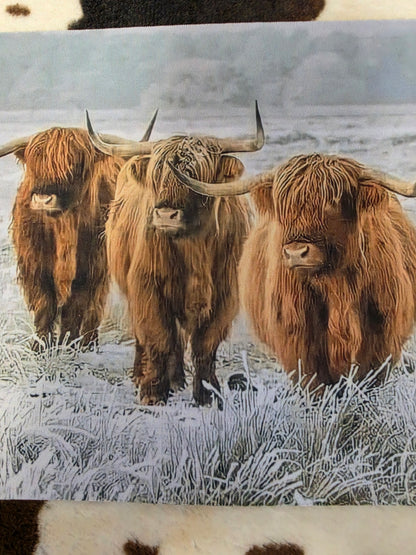 Highland Cow Western Mouse Pad