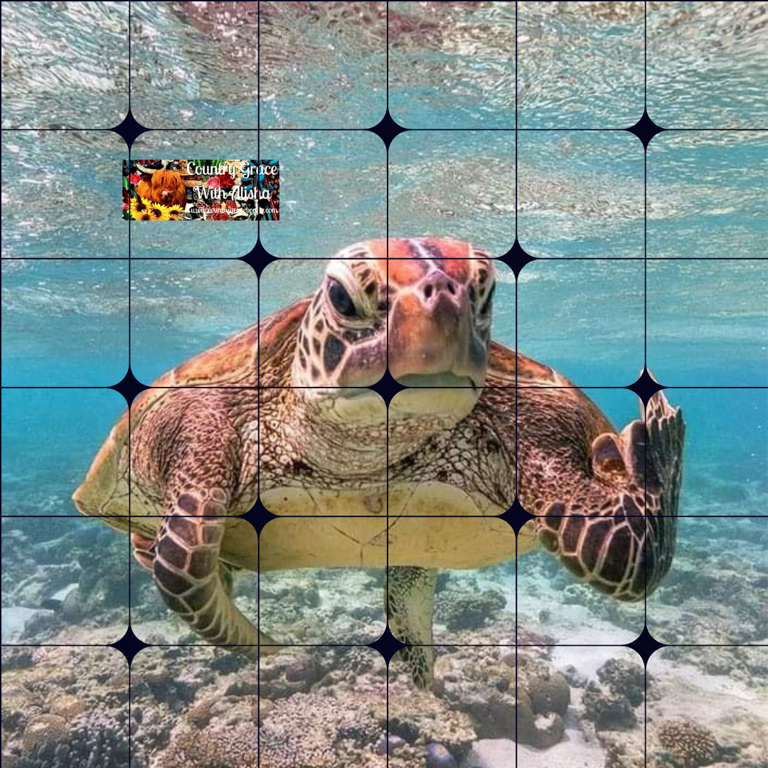 Sea Turtle Full Page Ready to Press Sublimation Transfer