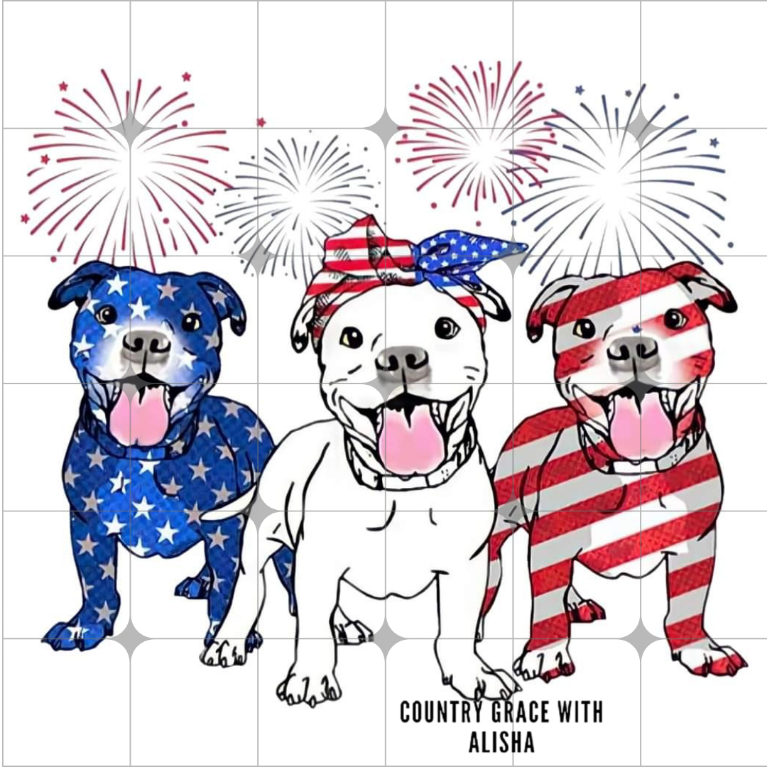 Pit Bull Fireworks Ready to Press Sublimation Transfer