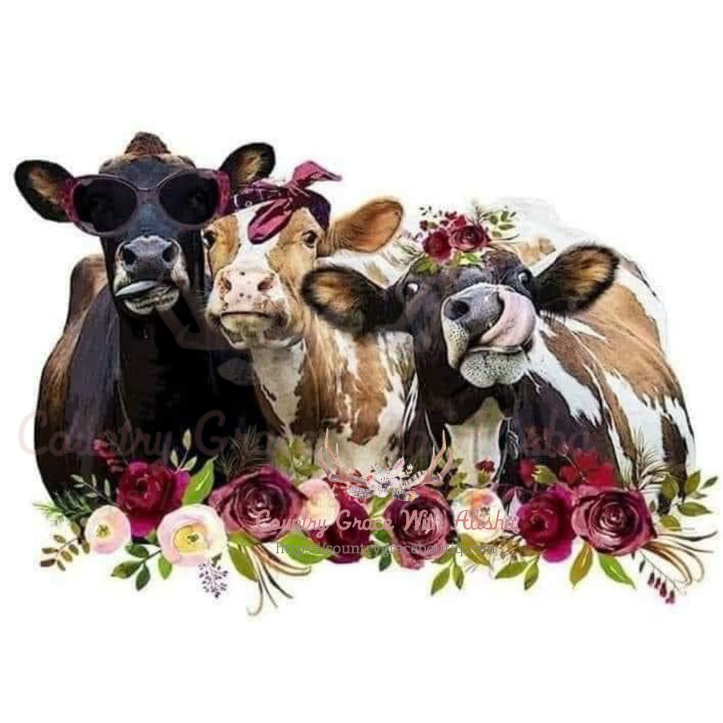 Crazy Cows Sublimation Transfer - Sub $1.50 Country Grace 