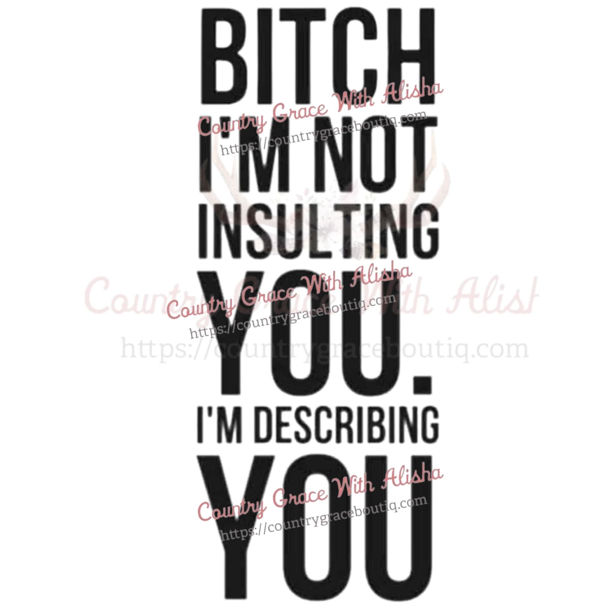 Im Not Insulting You Sublimation Transfer - Sub $1.50 